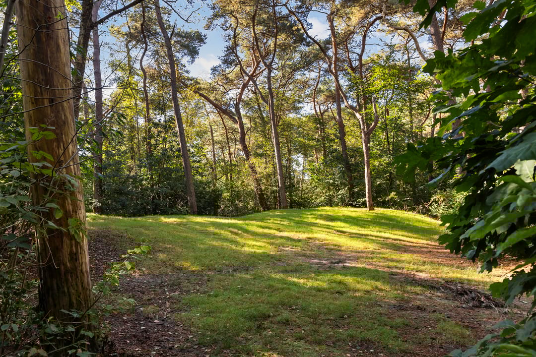 Foto 37 van Soestdijkseweg Noord 410