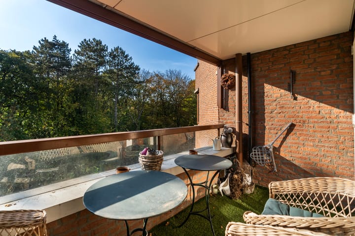 Foto 5 van Provinciënlaan 3-B42