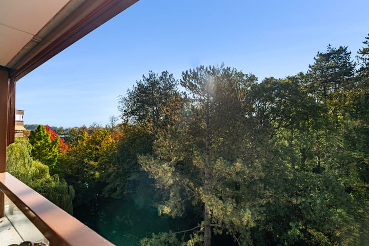 Foto 30 van Provinciënlaan 3-B42