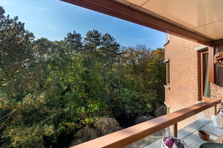 Foto 31 van Provinciënlaan 3-B42