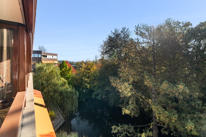 Foto 32 van Provinciënlaan 3-B42