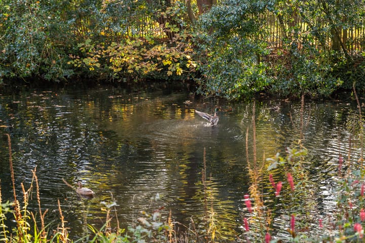 Foto 44 van Provinciënlaan 3-B42