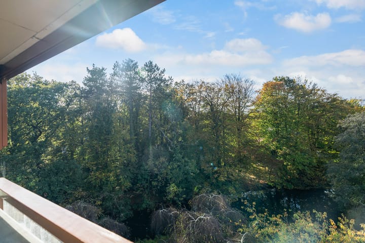 Foto 29 van Provinciënlaan 3-B43