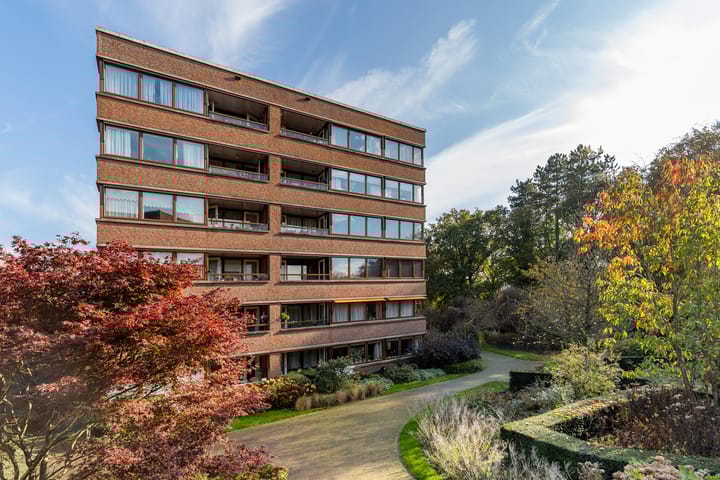 Foto 38 van Provinciënlaan 3-B43