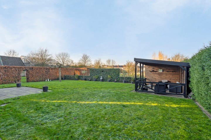 Foto 33 van Steltsestraat 41