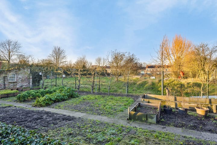 Foto 49 van Steltsestraat 41