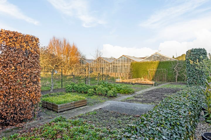 Foto 50 van Steltsestraat 41