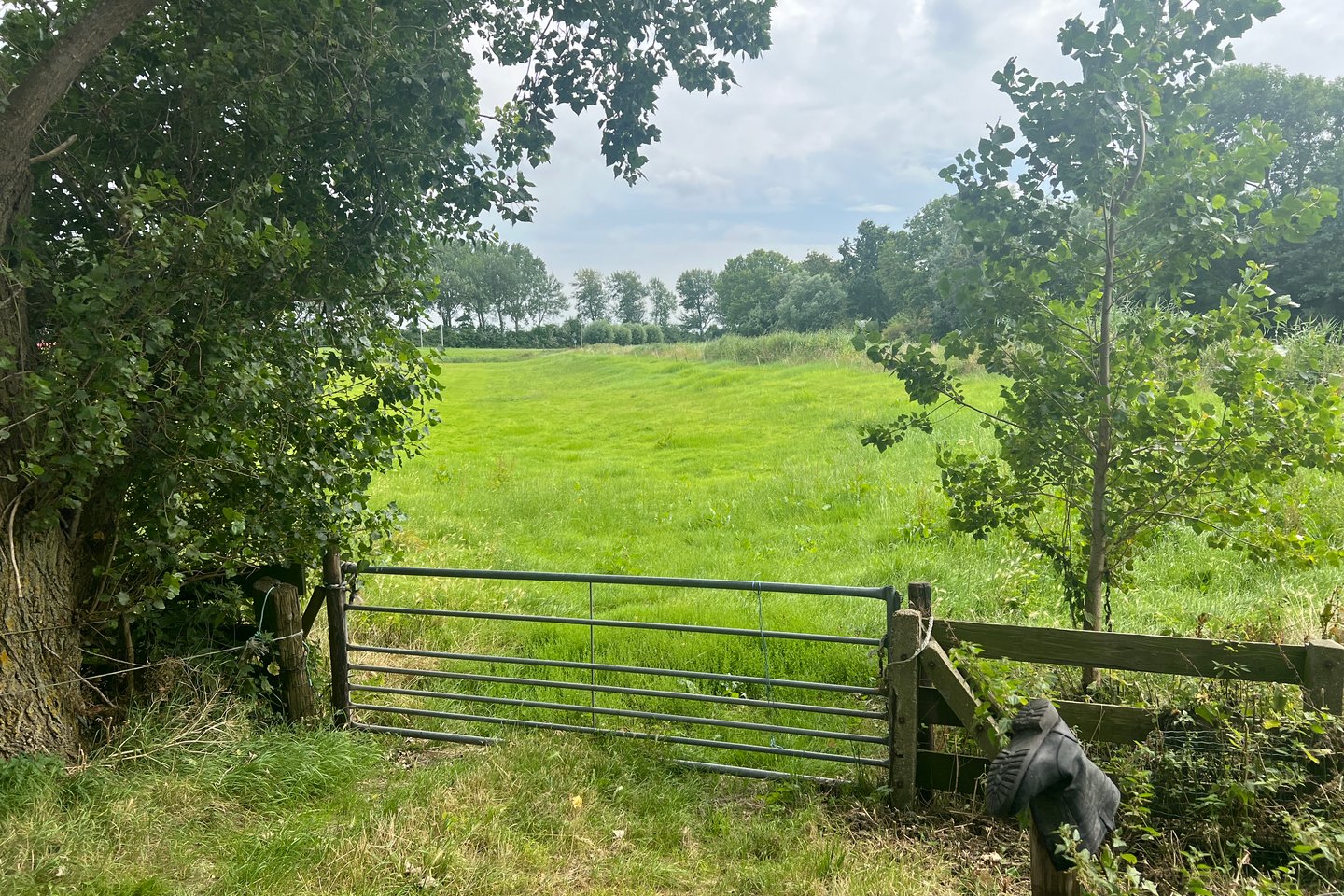 Bekijk foto 3 van Middenweg