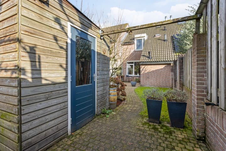 Foto 29 van Schapeweide 49