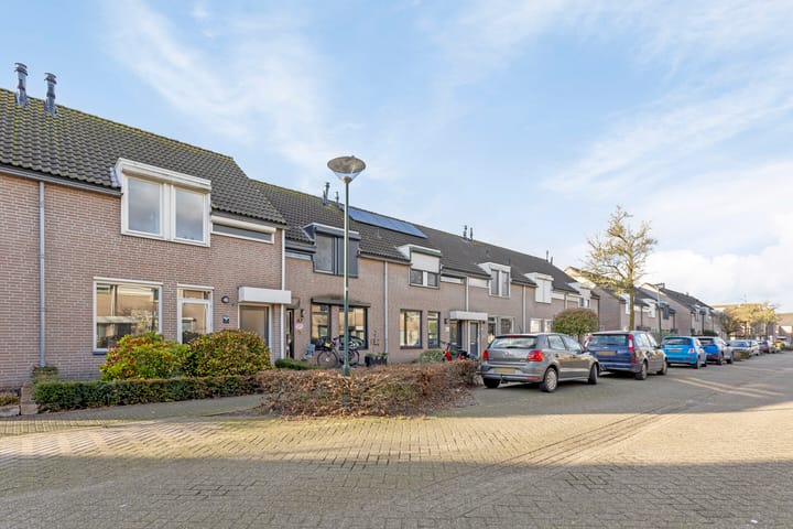 Foto 31 van Schapeweide 49