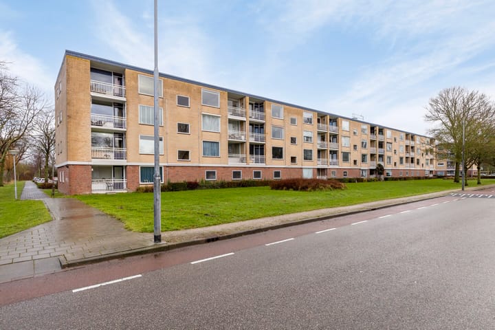 Foto 28 van Pieter Boddaertstraat 10