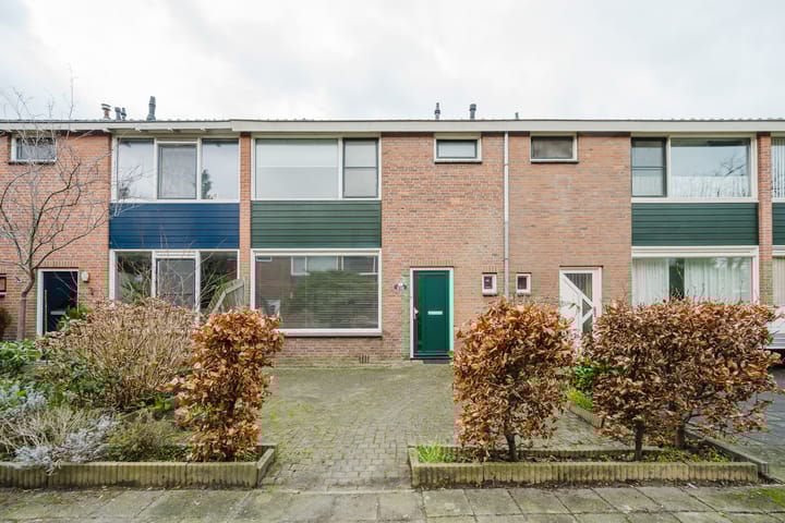 Foto 5 van IJsbloempad 5