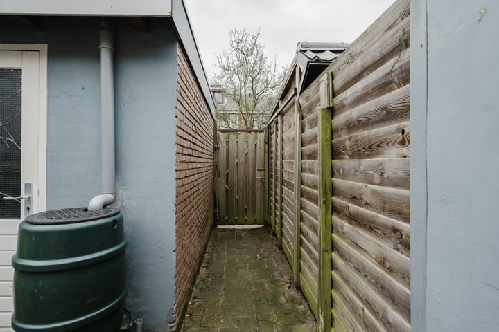 Foto 13 van IJsbloempad 5