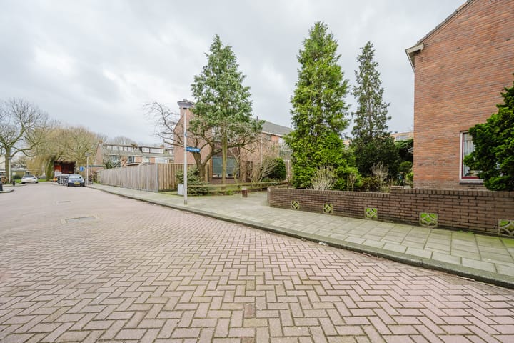 Foto 15 van IJsbloempad 5