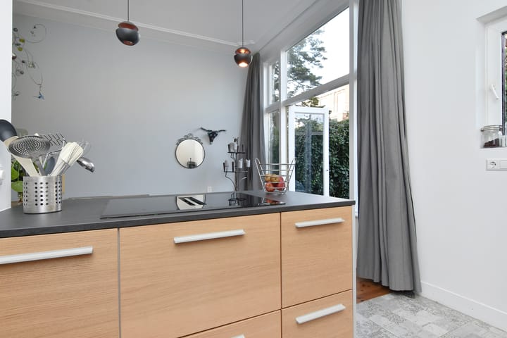 Foto 18 van Buijs Ballotstraat 85