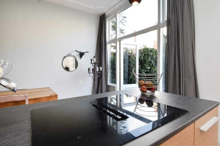 Foto 19 van Buijs Ballotstraat 85