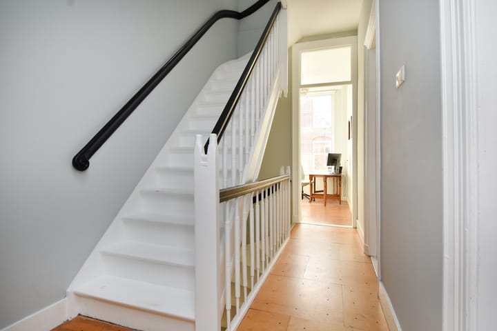 Foto 45 van Buijs Ballotstraat 85