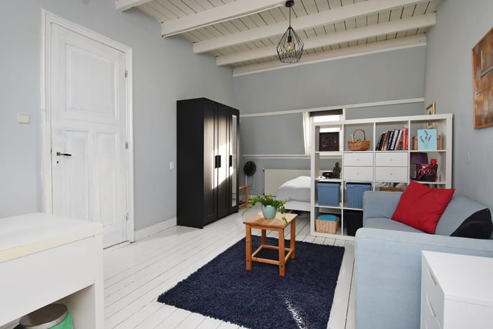 Foto 46 van Buijs Ballotstraat 85