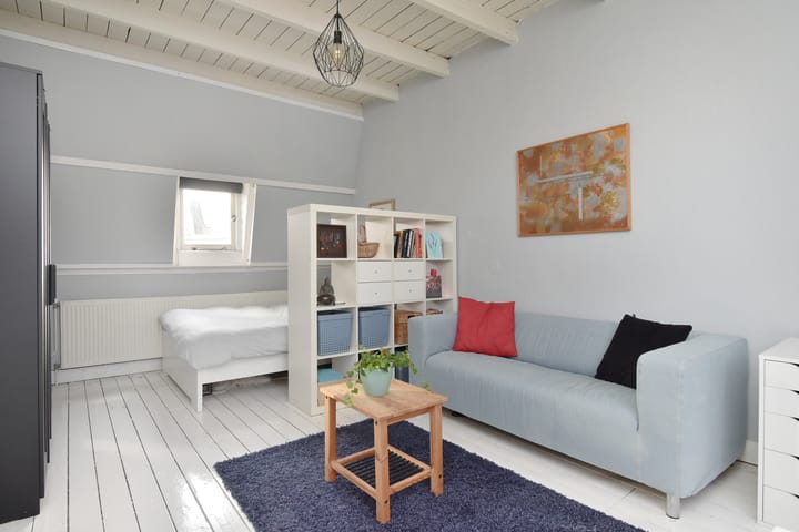 Foto 47 van Buijs Ballotstraat 85