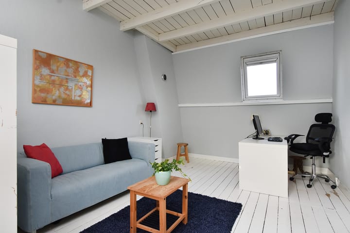 Foto 49 van Buijs Ballotstraat 85