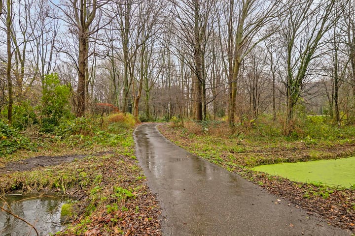 Foto 32 van Beetsstraat 333