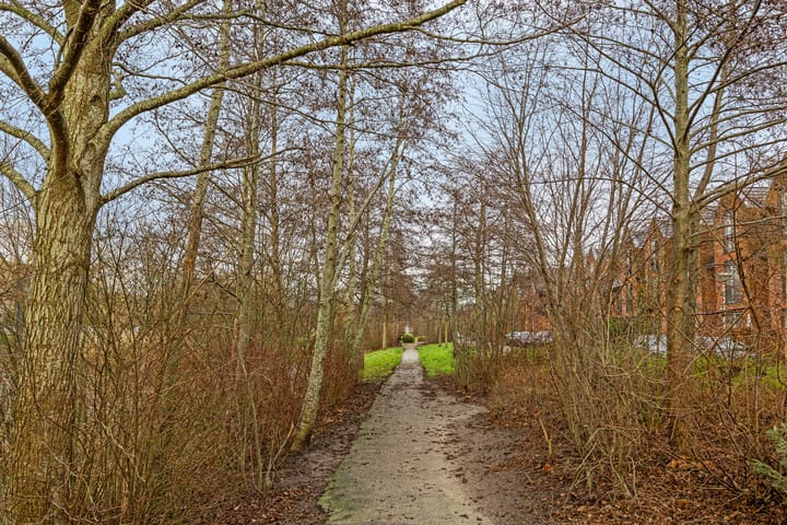 Foto 48 van Korianderlaan 76