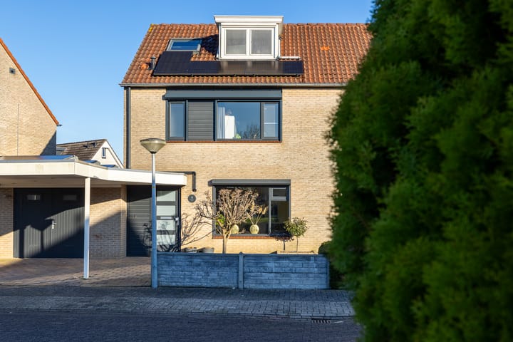 Foto 22 van de Vlierbes 4