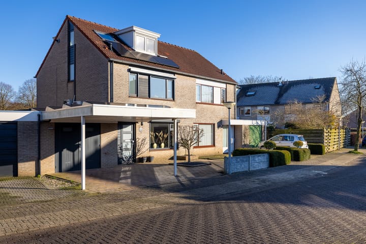 Foto 45 van de Vlierbes 4