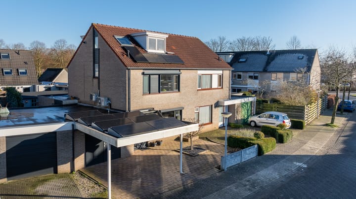 Foto 46 van de Vlierbes 4