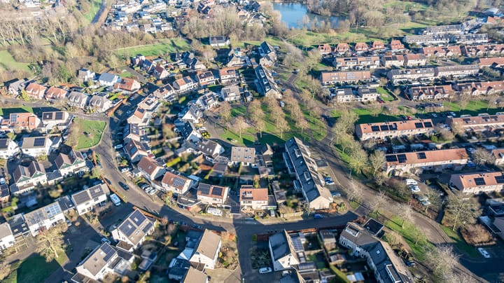 Foto 48 van de Vlierbes 4