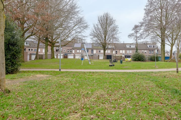 Foto 2 van Koningskaars 35