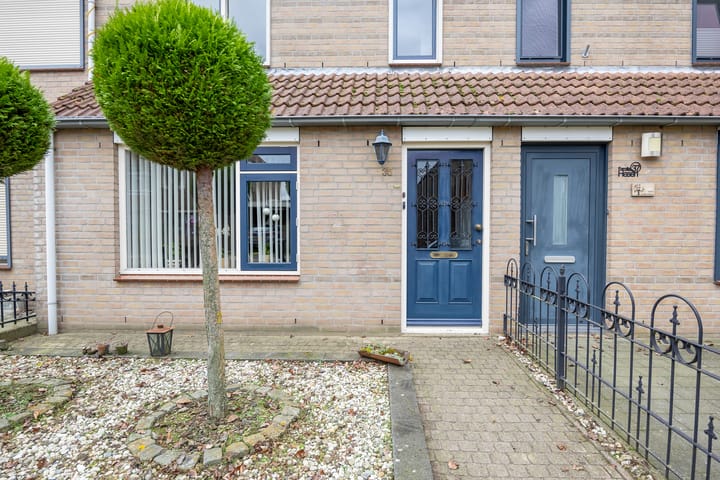 Foto 4 van Koningskaars 35