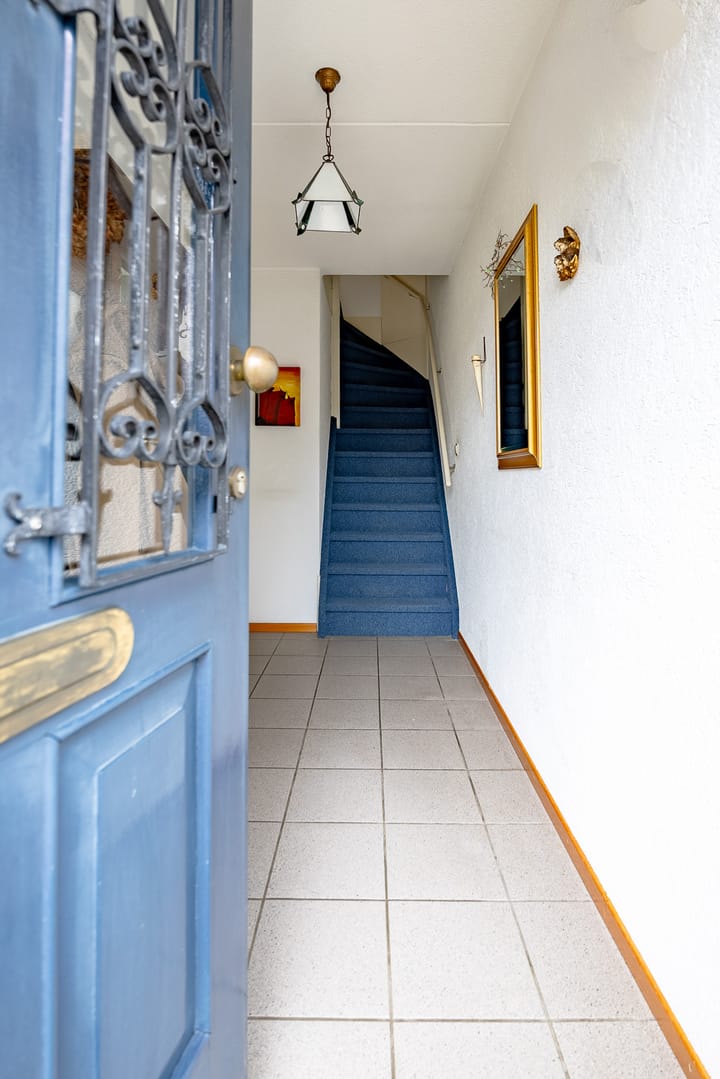 Foto 5 van Koningskaars 35