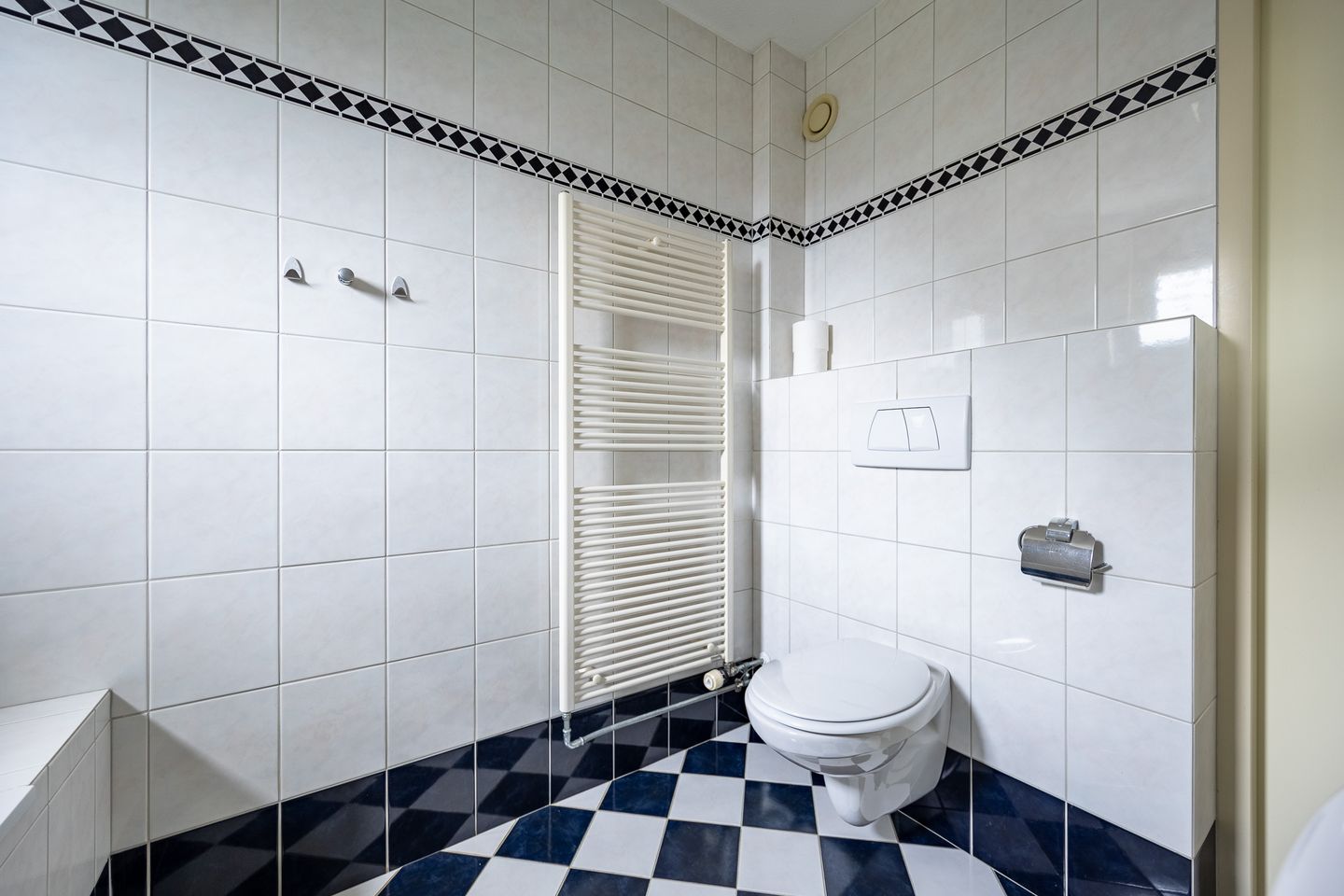 Photo 20 of Koningskaars 35