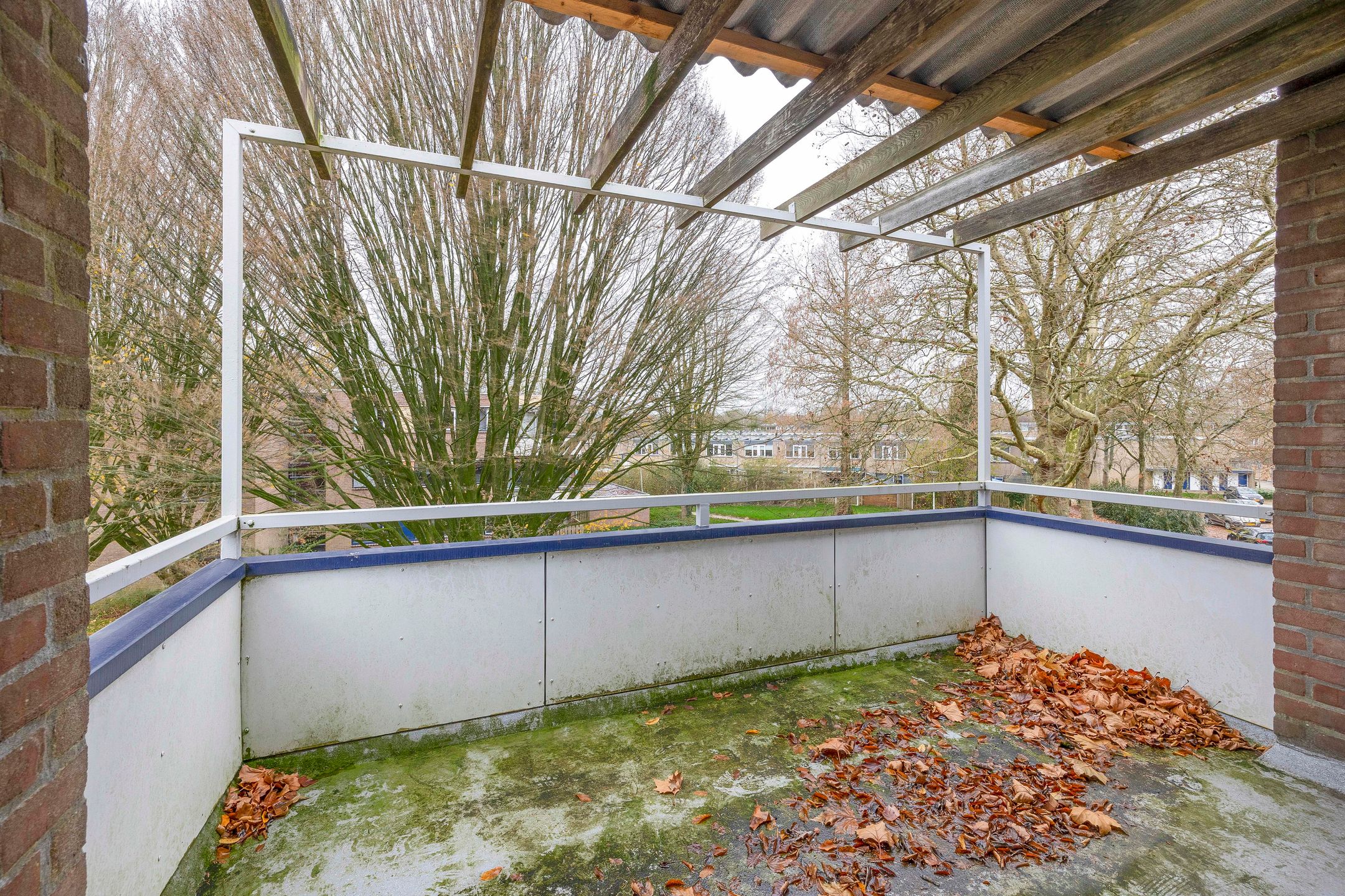 Foto 6 van Tolhuis 4222