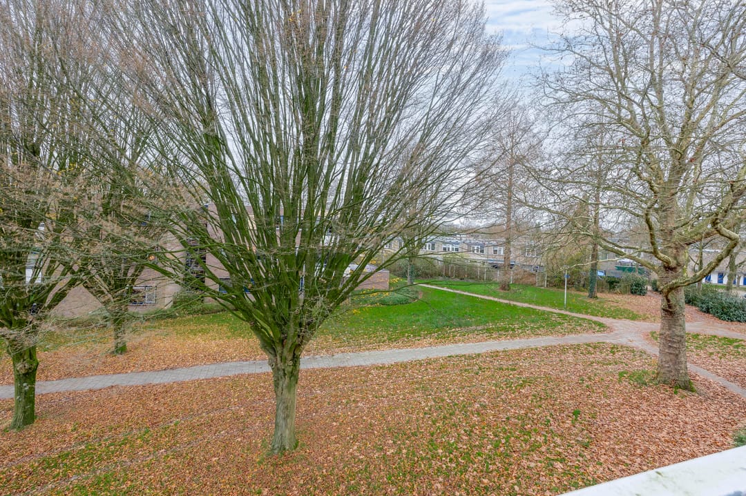 Foto 23 van Tolhuis 4222