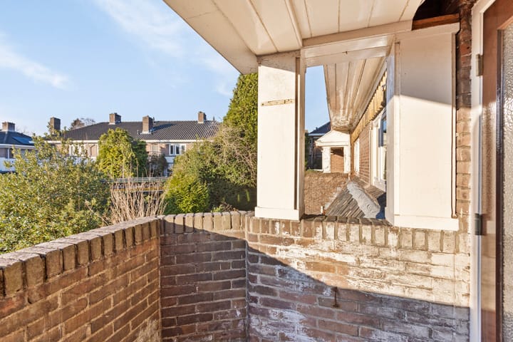 Foto 39 van Raapopseweg 19