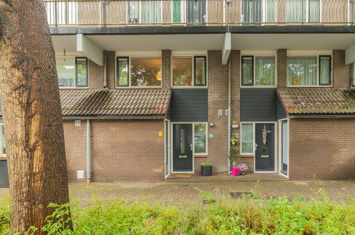 Foto 31 van Dotterweide 36