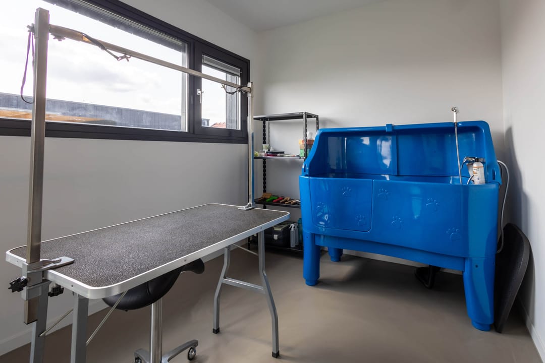 Foto 22 van Falster 69