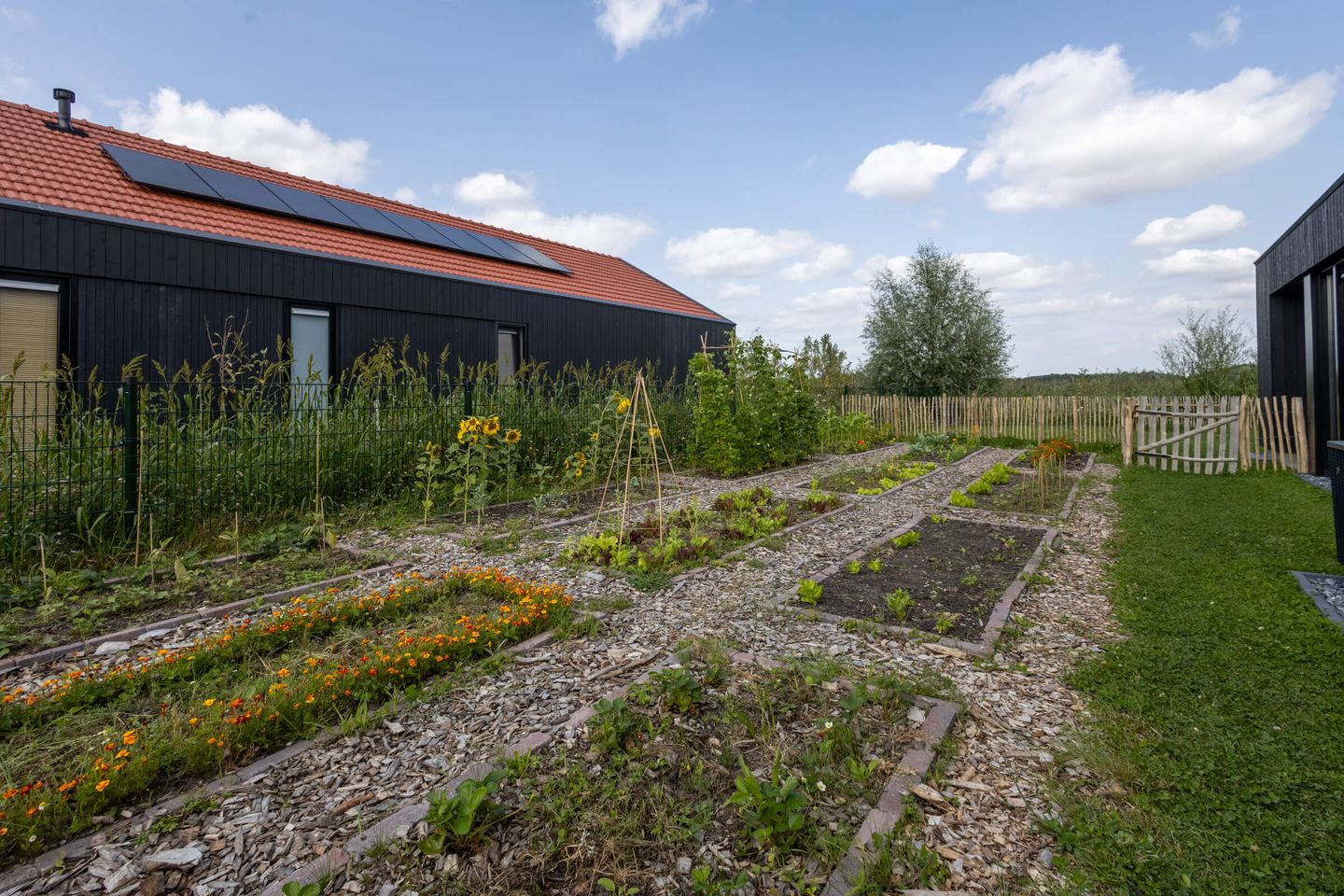 Foto 25 van Falster 69