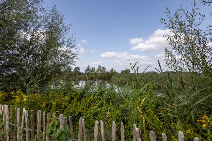 Foto 33 van Falster 69