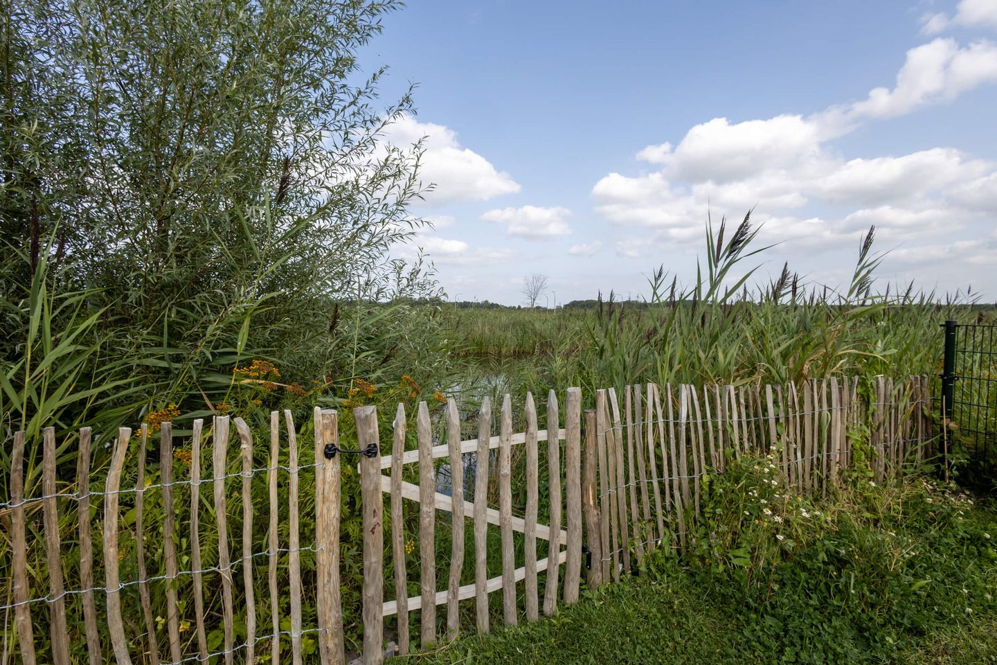 Foto 34 van Falster 69