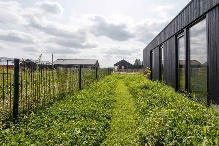 Foto 36 van Falster 69