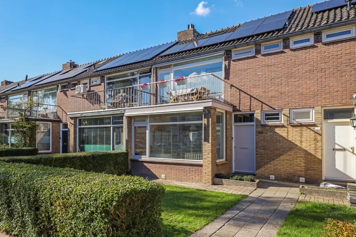 Foto 11 van Ranonkelstraat 46