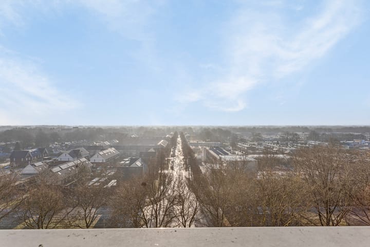 Foto 12 van Lisztgaarde 272