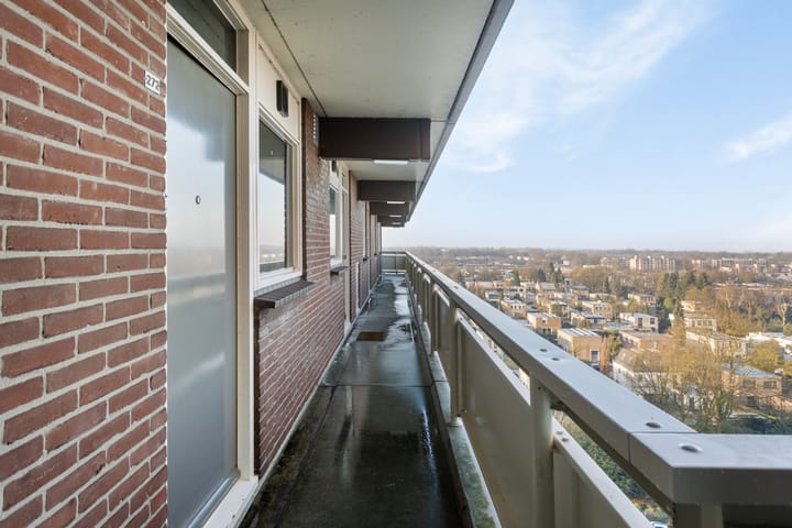 Foto 14 van Lisztgaarde 272