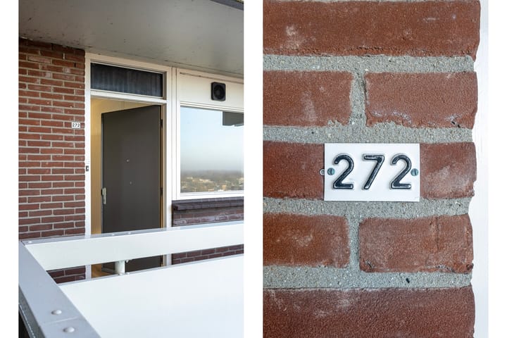 Foto 18 van Lisztgaarde 272