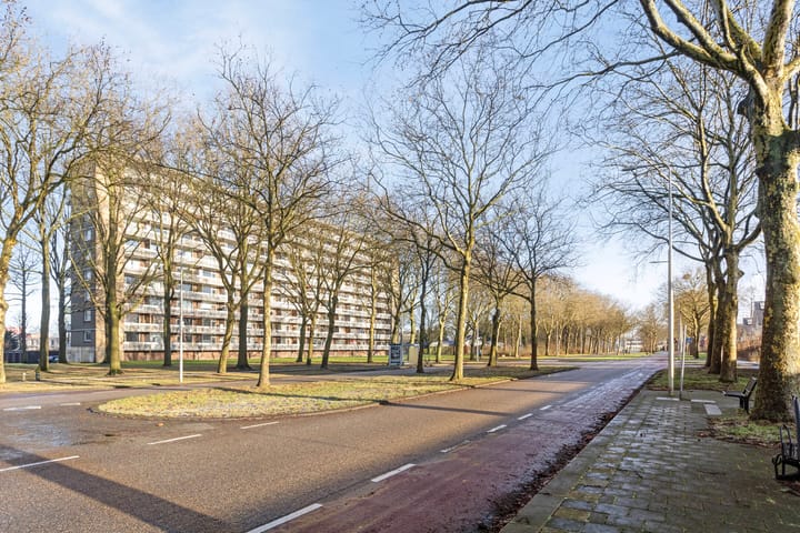 Foto 19 van Lisztgaarde 272