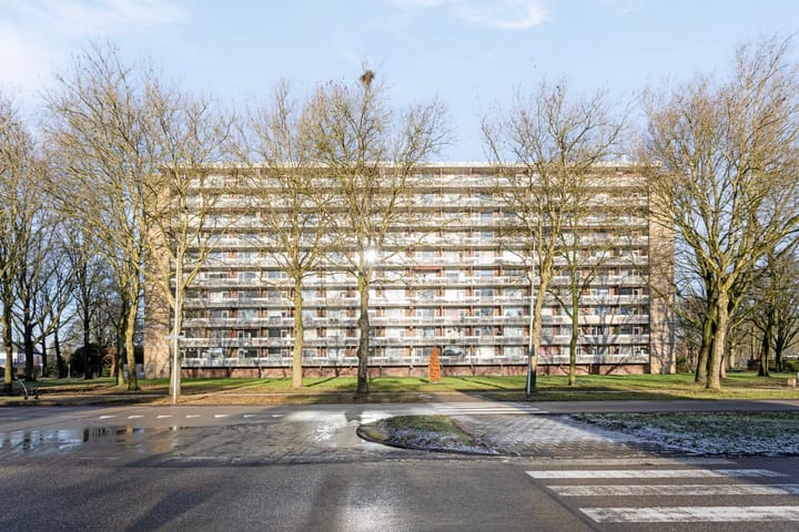 Foto 21 van Lisztgaarde 272