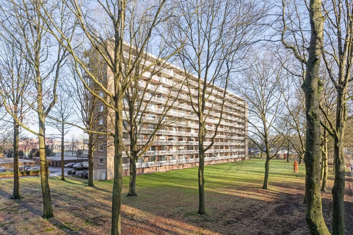 Foto 23 van Lisztgaarde 272